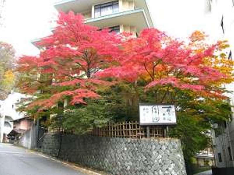 Yokotekan Shibukawa ภายนอก รูปภาพ
